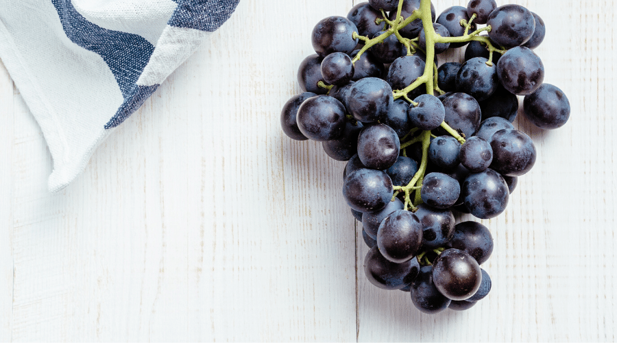 Inizia la Raccolta dell’Uva Nera da tavola  !