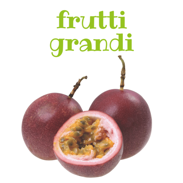 Passion Fruit grandi 70-90 gr