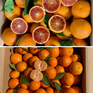 18 kg Clementine +Arance Tarocco