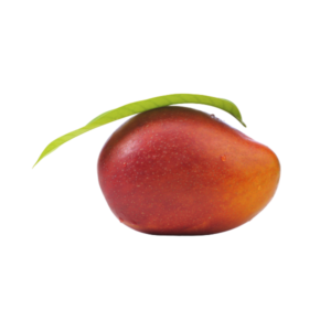 Mango Rosso Irwin