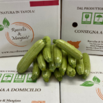 Confezione di zucchine Bianche da 3 kg