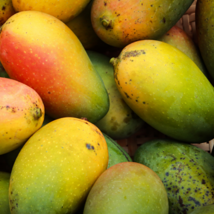 Mango Siciliano Imperfetto