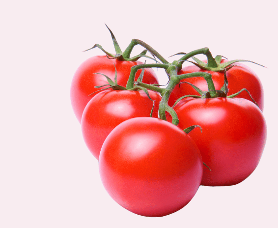 Pomodoro salsa 566x464