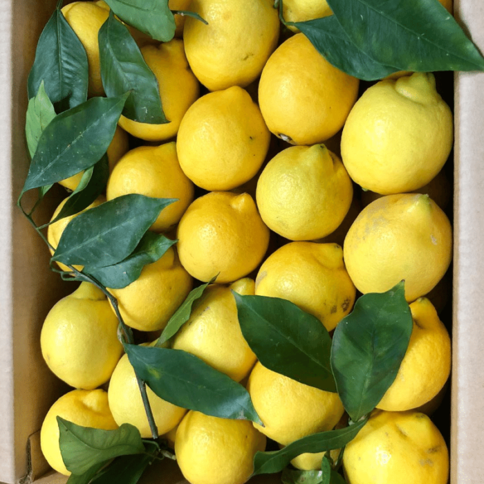 Confezione Limoni