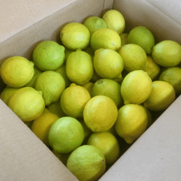 La Confezione di Limoni Naturali 15 kg