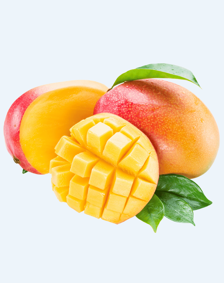 Mango 970x768