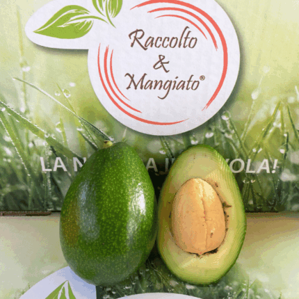 Avocado Bacon 1 frutto
