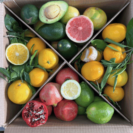 Mix Agrumi con Avocado