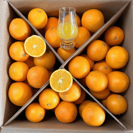 Arance Navel da Spremere