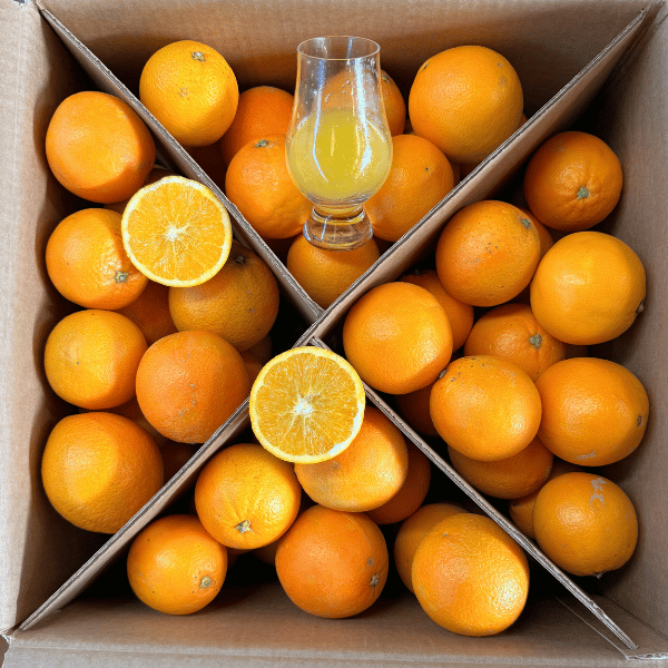 Arance Navel da Spremere Arance Navel da Spremere