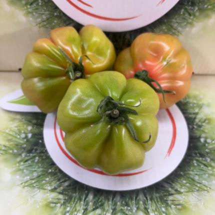 Pomodoro cuore di bue