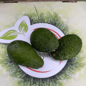 Avocado hass