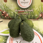 Avocado Hsss Imperfetti