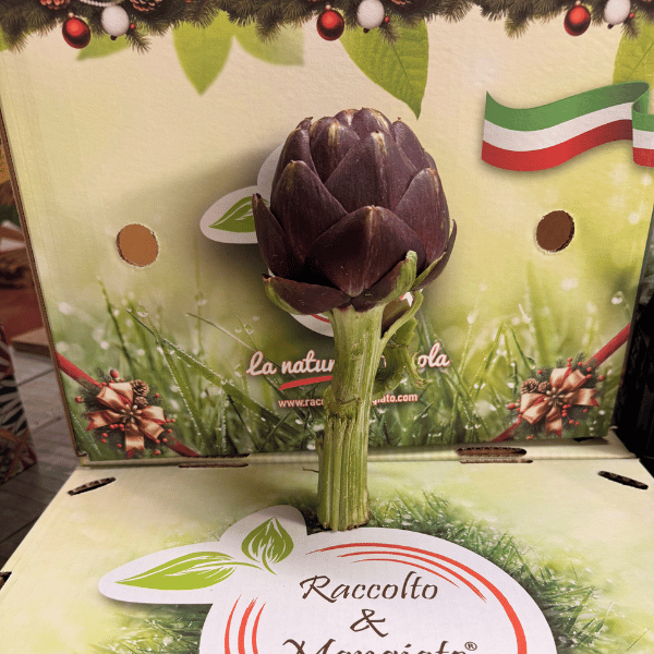 carciofi romanesco (2)