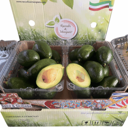Confezione Avocado Bacon