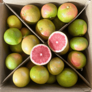 Pompelmi Rosa