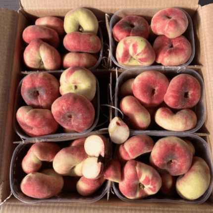 Pesche tabacchiere da 6 kg