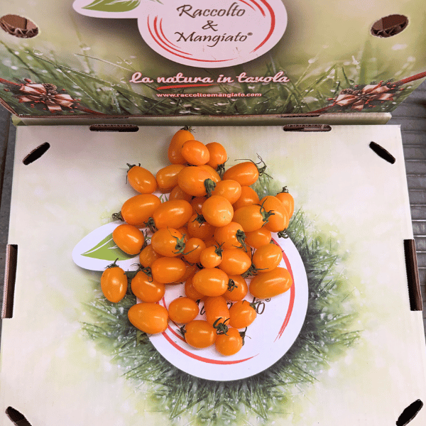 datterino giallo prodotto