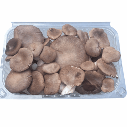 funghi cardoncelli