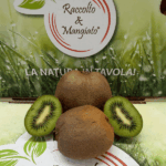 kiwi hayward imperfetti