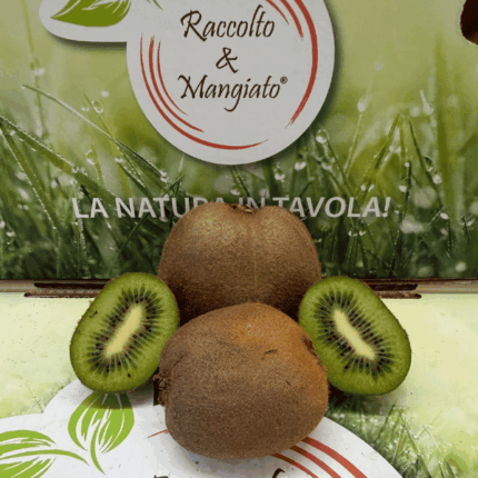 kiwi hayward imperfetti