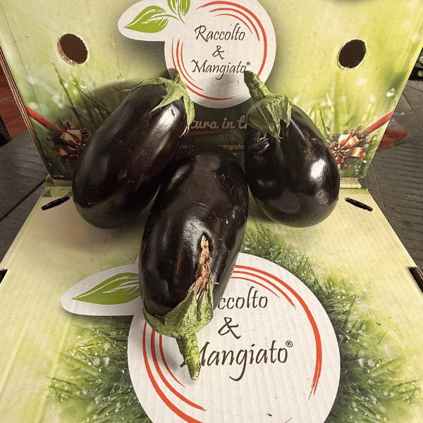 melanzana imperfetta