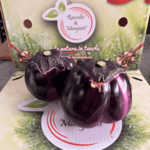 Melanzana Violetta