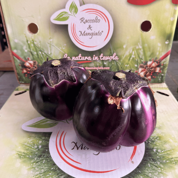 Melanzana Violetta Melanzana Violetta