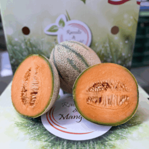 Melone Retato