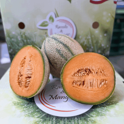 Melone Retato