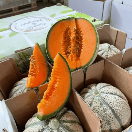 Confezione Melone Retato