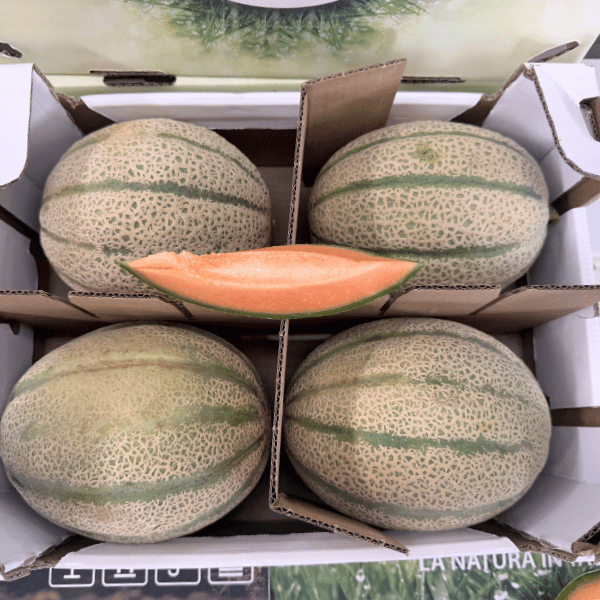 offerta melone