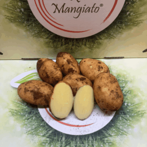 Patate novelle