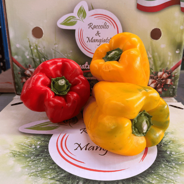 peperoni quadrati (1)