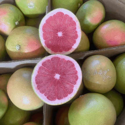 Pompelmi rosa