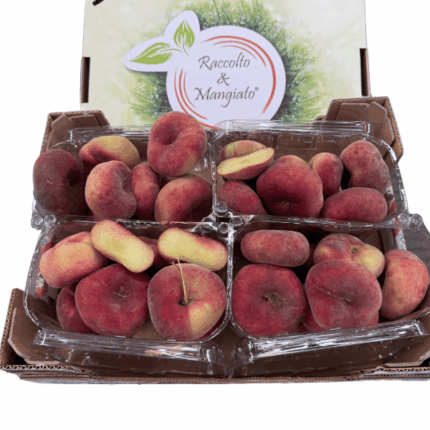 Pesche Tabacchiere