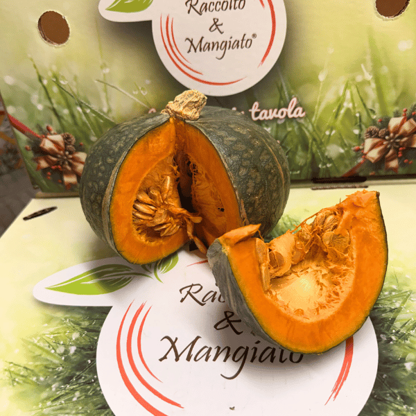 Zucca delica Zucca delica