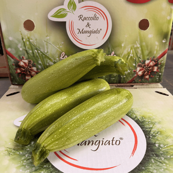 zucchine bianche