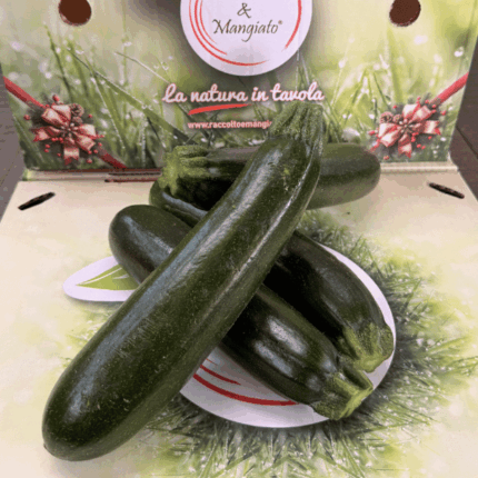 Zucchine Verdi