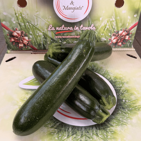 Zucchine Verdi Zucchine Verdi