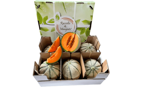 Confezione meloni retati 571x353 home