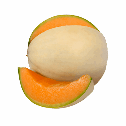 Melone Bianco Liscio