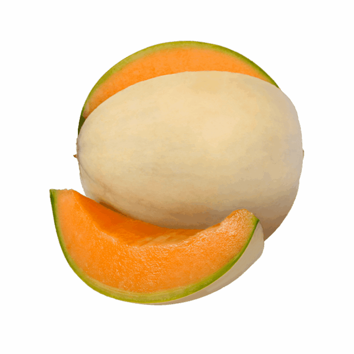 Melone Bianco Liscio