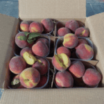 Confezione Pesche da 6 kg