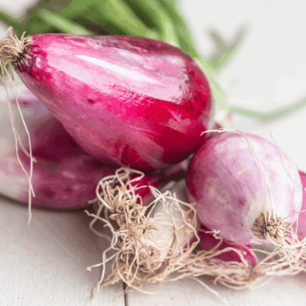 Dettaglio treccia cipolla rossa