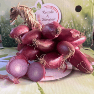 Treccia di cipolla rossa