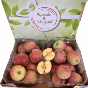 Confezione Mele Fuji da 4 kg
