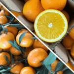 Confezione 8 kg mandarini e 8 kg navel