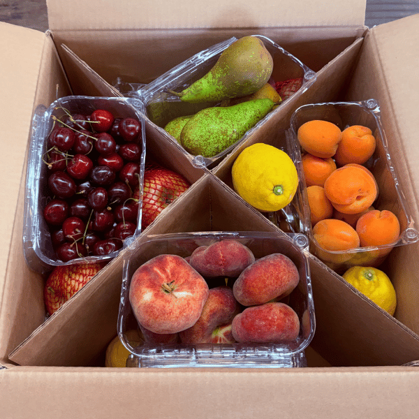 Nuovo Box Frutta