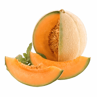 Melone Retato